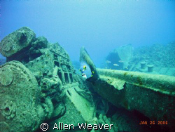 wreckage of the Ora Verde by Allen Weaver 